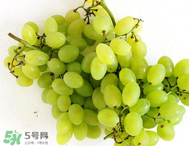 青提什么時(shí)候成熟？青提什么時(shí)候上市？