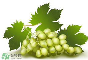 青提不能和什么一起吃？青提哪些人不能吃？