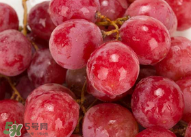 提子什么季節(jié)成熟？提子什么時候上市？