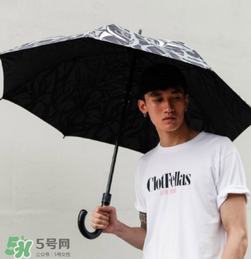 clot荊棘雨傘在哪買？clot荊棘雨傘怎么買？
