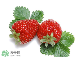 夏天有草莓嗎？夏天草莓結(jié)果嗎？