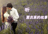 六月份還有薰衣草嗎？6月份哪里有薰衣草？