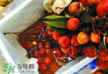 荔枝為什么要用藥水泡？荔枝藥水浸泡是否安全？
