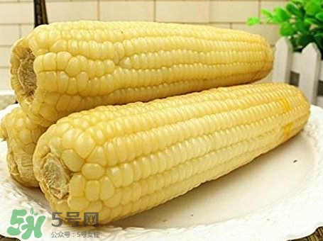 糯玉米怎么保存時間長？新鮮的糯玉米如何保存