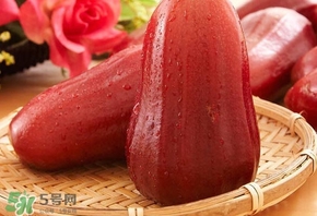 蓮霧什么季節(jié)吃最好？什么品種的蓮霧最好吃
