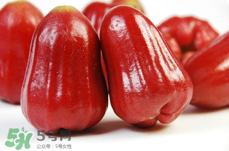 黑珍珠蓮霧多少錢一斤2017？黑珍珠蓮霧產(chǎn)地是哪里