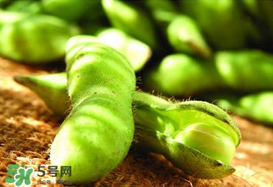 六月份可以種毛豆嗎？六月份毛豆怎么種植？