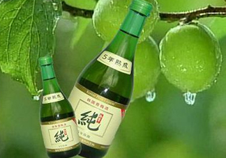青梅酒泡多久可以喝？青梅酒好喝嗎？