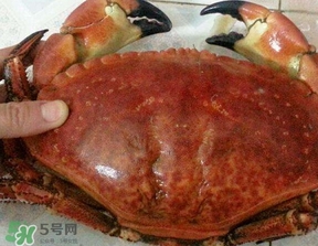 面包蟹什么時候最肥？面包蟹幾月份最肥