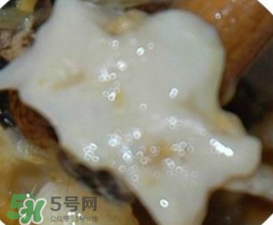面包蟹是哪里產(chǎn)的？面包蟹哪里不能吃圖解