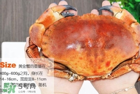 速凍面包蟹如何處理？活面包蟹怎么處理清洗