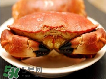 熟凍面包蟹怎么解凍？熟凍面包蟹要怎么清洗