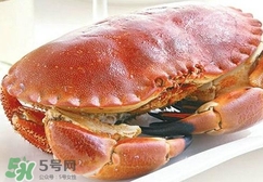 熟凍面包蟹蒸多長(zhǎng)時(shí)間？熟凍面包蟹煮多長(zhǎng)時(shí)間