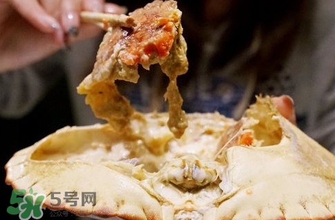 面包蟹什么季節(jié)吃最好？面包蟹什么時候最有黃