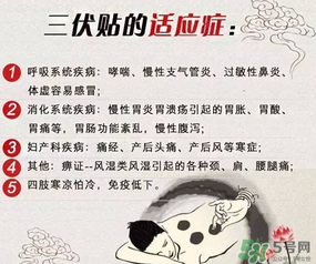 三伏貼能治什么?。咳N能治哪些?。?></p><h3 style=