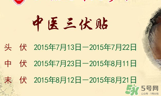 三伏貼能治什么??？三伏貼能治哪些病？