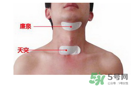 三伏貼貼在什么位置？三伏貼貼哪里？