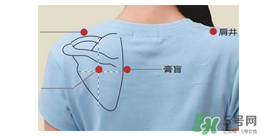 三伏貼貼在什么位置？三伏貼貼哪里？