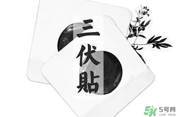 貼三伏貼注意事項 貼三伏貼要注意什么？
