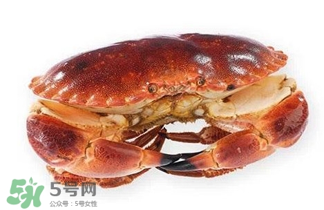 怎么判斷面包蟹是否新鮮？怎樣鑒別面包蟹的質(zhì)量好壞