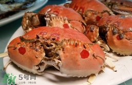 面包蟹什么季節(jié)吃最好？面包蟹什么時候最有黃