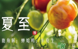 夏至是什么意思？夏至的習(xí)俗有哪些