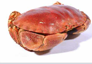 熟凍面包蟹好吃嗎？面包蟹是鮮活的好還是熟凍的好