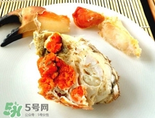 面包蟹是黃道蟹嗎？黃道蟹和面包蟹一樣嗎