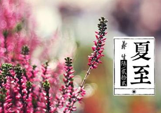 夏至是什么意思？夏至的習(xí)俗有哪些