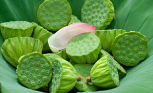 新鮮蓮子什么時(shí)候有？新鮮蓮子幾月有？
