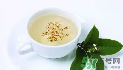 葛根茶多少錢一盒？2017葛根茶價格