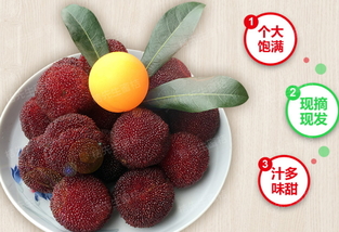楊梅泡酒能放多久？楊梅酒保質(zhì)期