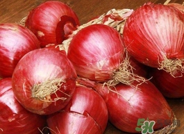紅皮洋蔥怎么做好吃？紅洋蔥和紫洋蔥的區(qū)別是什么