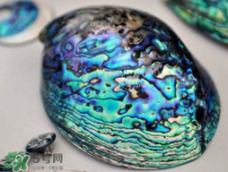 nike air foamposite one abalone鮑魚噴多少錢？