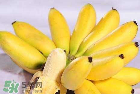 芭蕉和香蕉哪個貴？芭蕉和香蕉哪個好