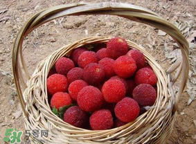 煮楊梅汁需要煮多長時(shí)間？楊梅汁怎么煮？