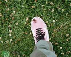 stussy與vans2017春夏系列聯(lián)名鞋子什么時(shí)候發(fā)售？