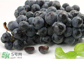 無籽葡萄孕婦能不能吃？無籽葡萄和葡萄的區(qū)別