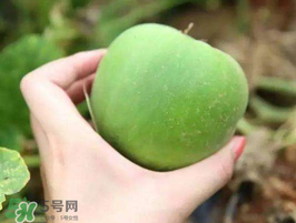 梨瓜是熱性還是涼性？梨瓜是酸性還是堿性？