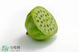 蓮蓬什么時(shí)候成熟？蓮蓬什么時(shí)候上市？