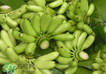 芭蕉什么時候成熟？芭蕉什么時候開花