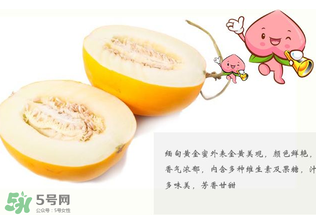 黃金瓜熱量高嗎？黃金瓜會胖嗎？