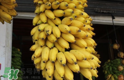 芭蕉不熟可以吃嗎？芭蕉怎么催熟