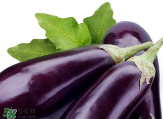 茄子怎么挑選？如何挑選茄子？