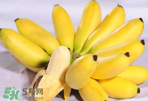 芭蕉是堿性還是酸性？芭蕉是什么季節(jié)的水果
