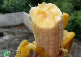 孕婦可以吃芭蕉嗎？吃芭蕉有什么好處
