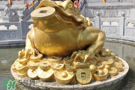 蟾蜍能活多久？蟾蜍可以活多少年