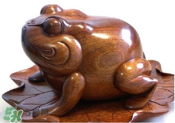 蟾蜍有什么寓意？為什么蟾蜍被寓意為招財(cái)？