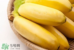 皇帝蕉有什么好處？皇帝蕉的功效與作用