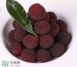 荸薺楊梅和東魁楊梅哪個(gè)好吃？荸薺楊梅跟東魁楊梅有什么區(qū)別？
